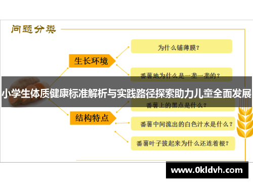 小学生体质健康标准解析与实践路径探索助力儿童全面发展